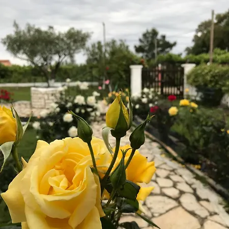 Yiouli Acharavi (Corfu)